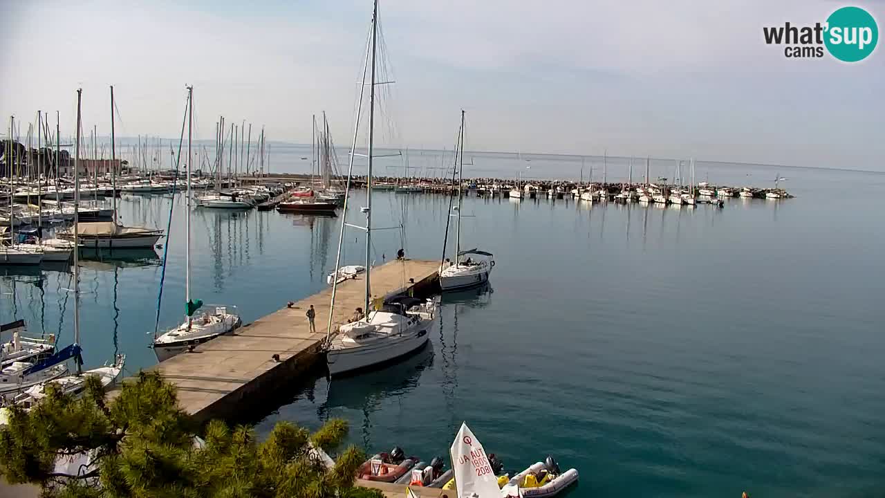 Webcam Sistiana – Marina and Bay Live View