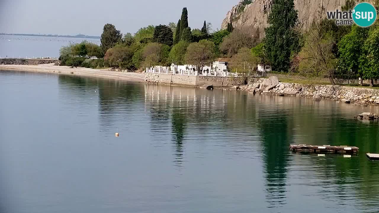 Spletna kamera Sesljan (Sistiana) – Pogled na marino in zaliv