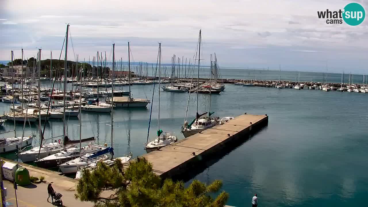 Webcam Sistiana – Pogled na marinu i zaljev