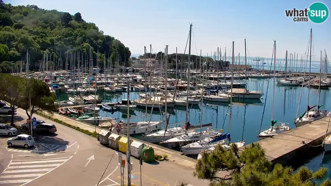 Webcam Sistiana – Marina and Bay Live View