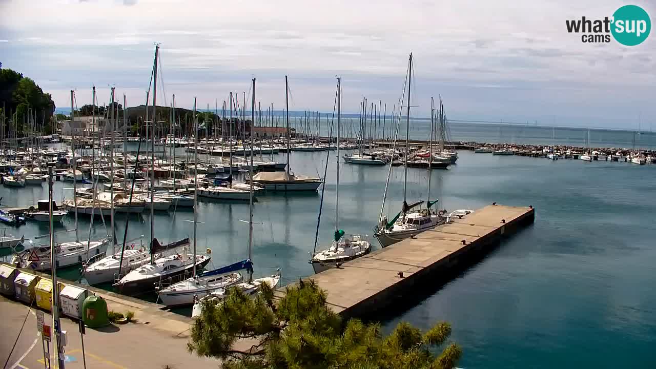 Webcam Sistiana – Marina and Bay Live View