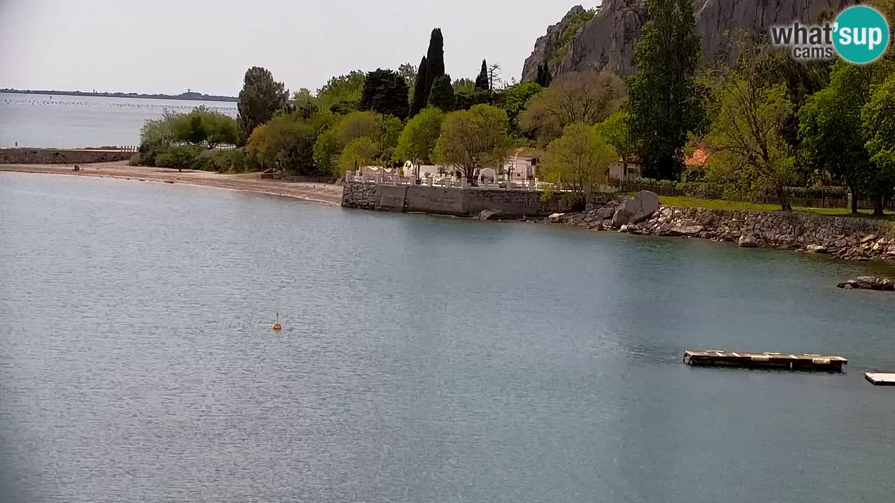 Spletna kamera Sesljan (Sistiana) – Pogled na marino in zaliv