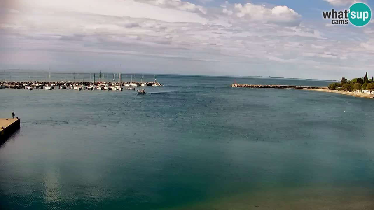 Webcam Sistiana – Marina and Bay Live View