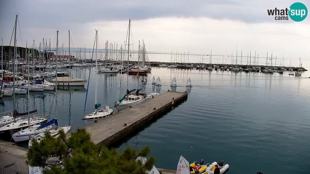 Webcam Sistiana – Vista sulla marina e sulla baia