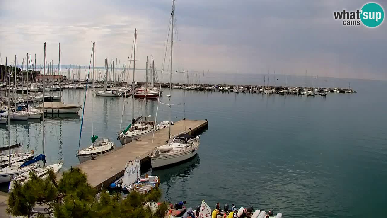 Webcam Sistiana – Vista sobre la marina y la bahía