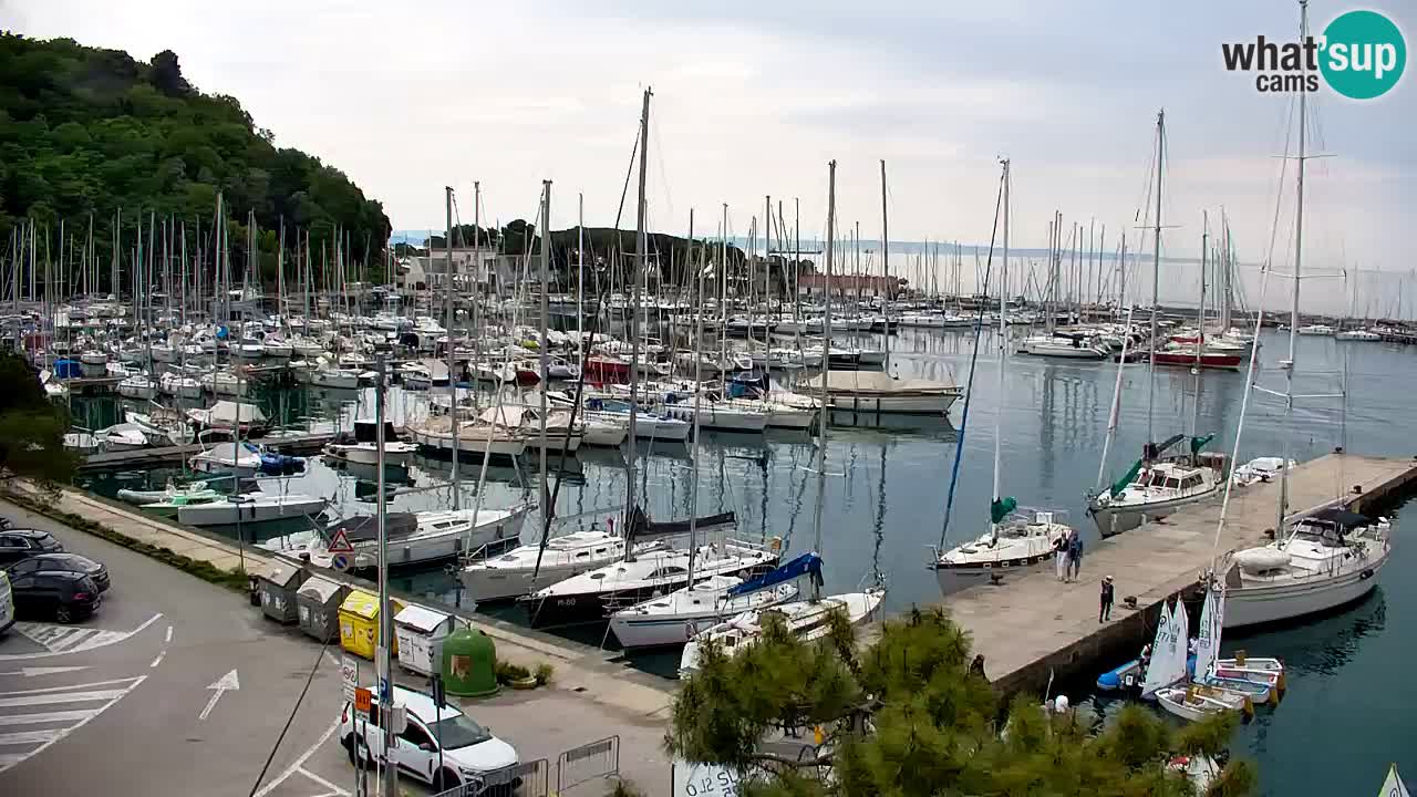 Webcam Sistiana – Blick auf Marina und Bucht