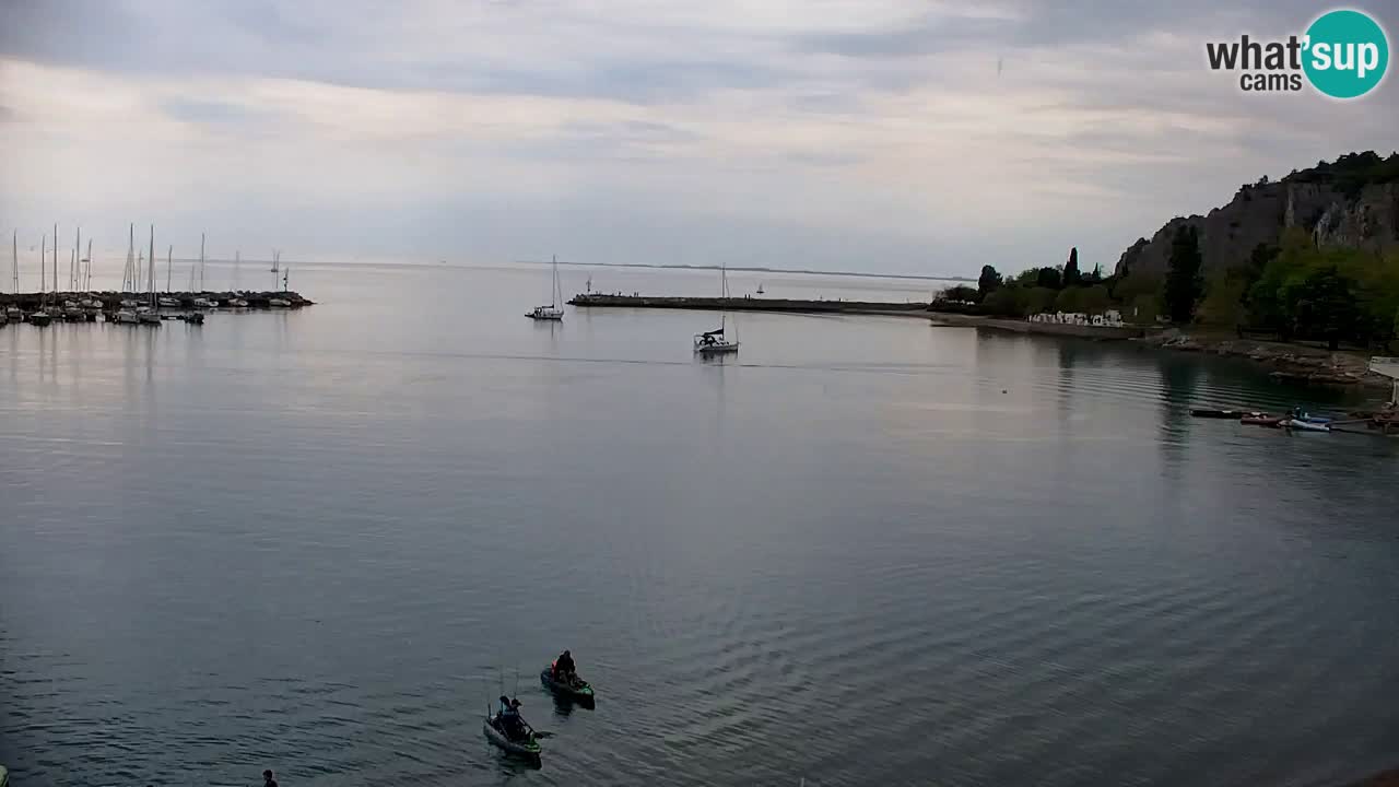 Webcam Sistiana – Pogled na marinu i zaljev