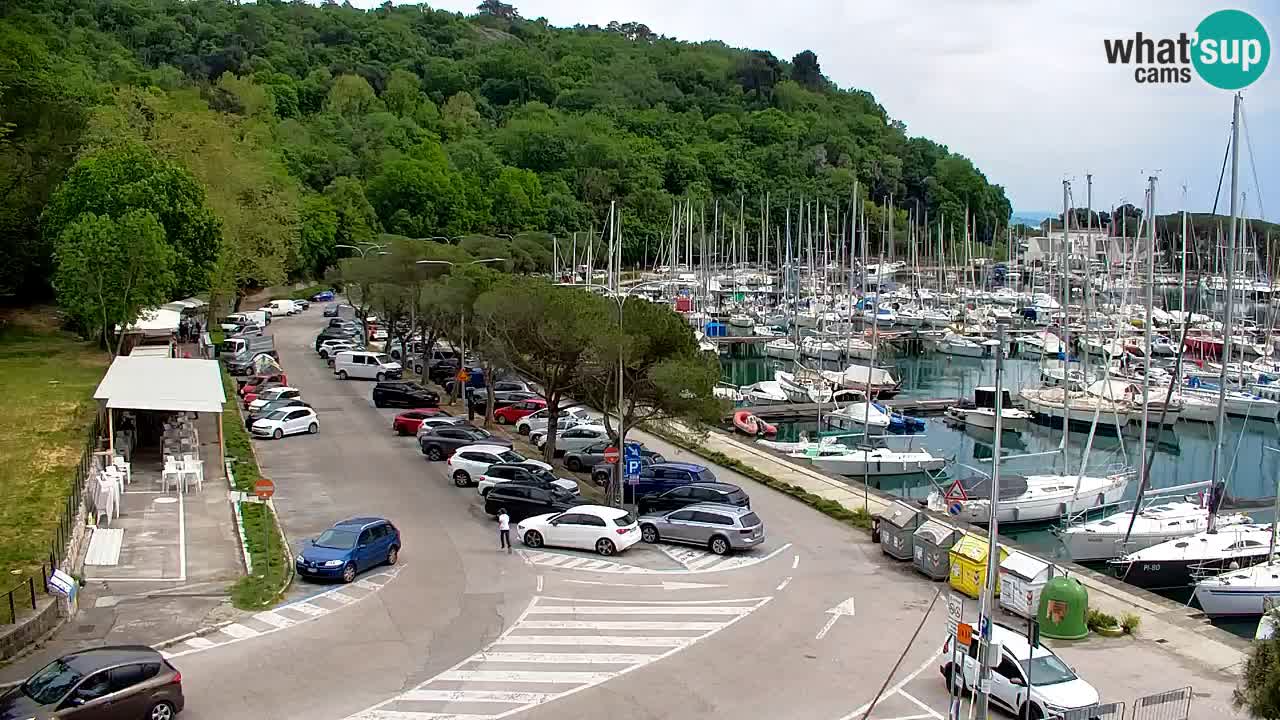 Webcam Sistiana – Pogled na marinu i zaljev