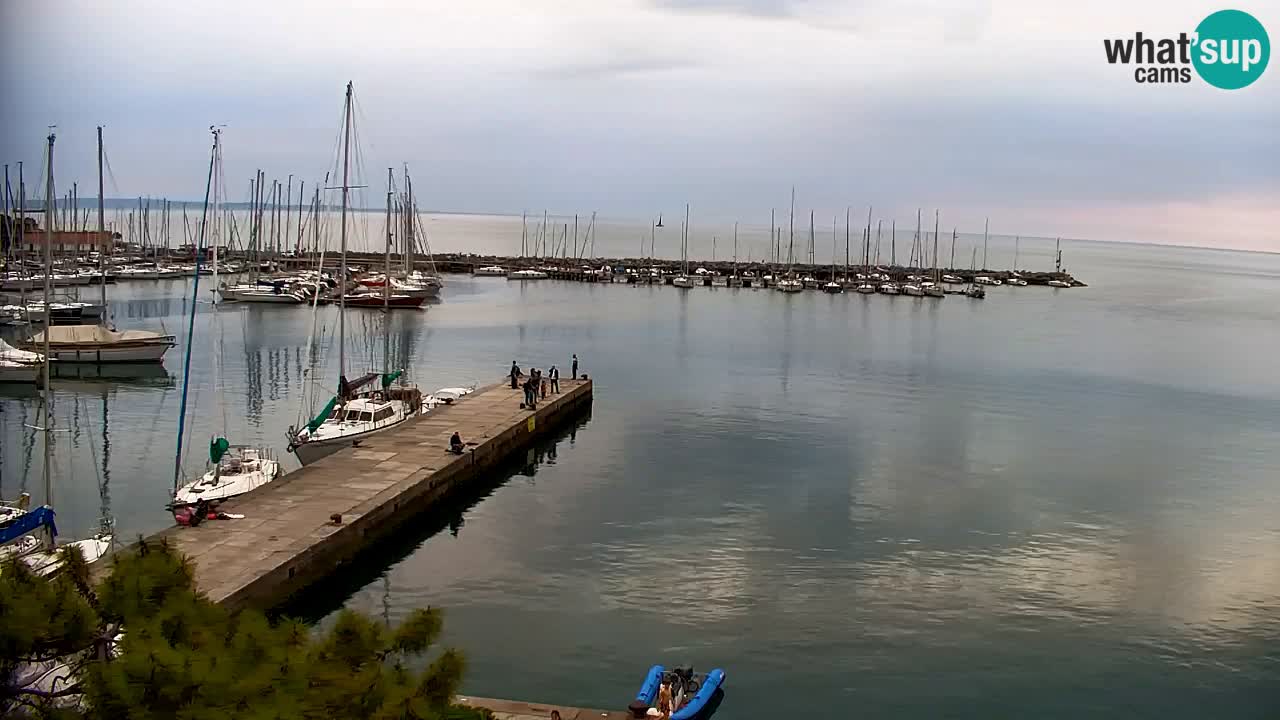 Spletna kamera Sesljan (Sistiana) – Pogled na marino in zaliv