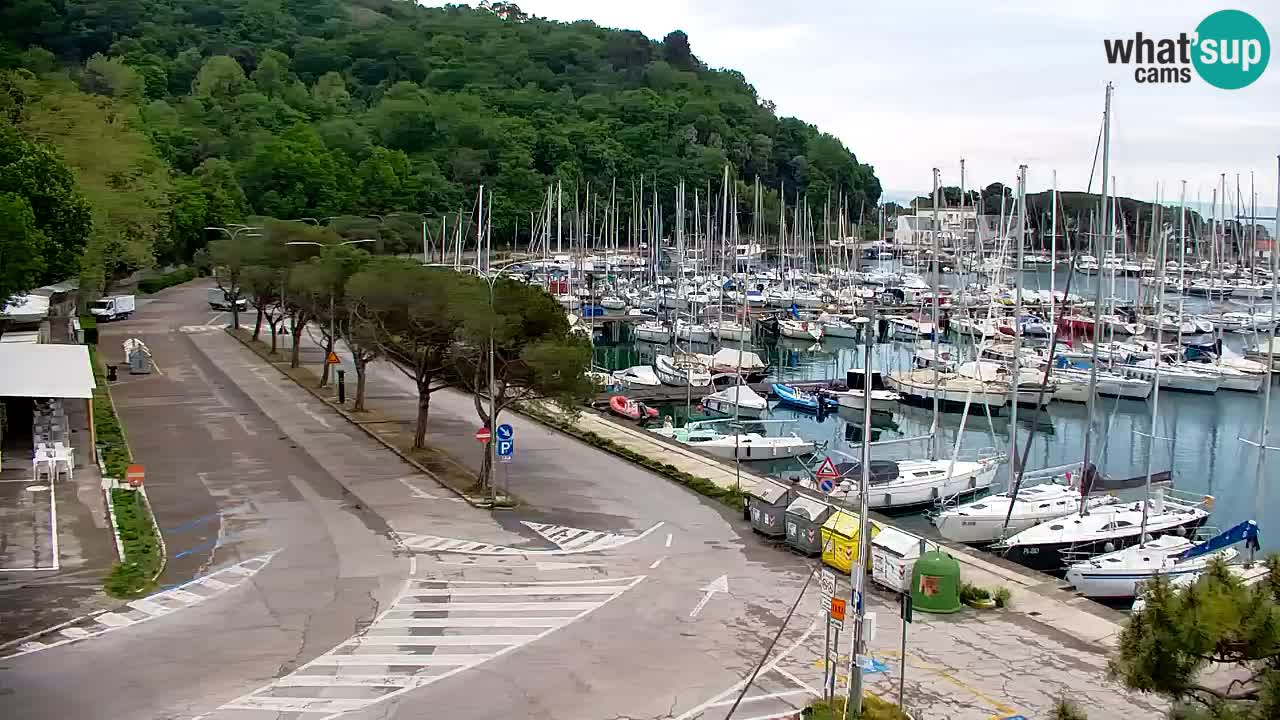 Webcam Sistiana – Marina and Bay Live View