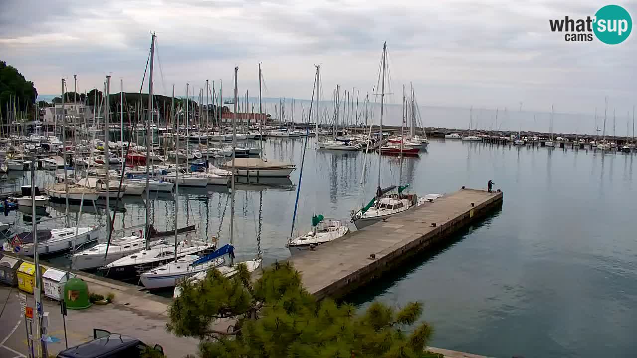 Webcam Sistiana – Marina and Bay Live View
