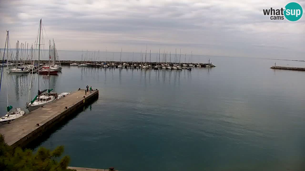 Spletna kamera Sesljan (Sistiana) – Pogled na marino in zaliv