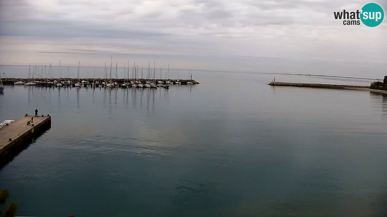 Webcam Sistiana – Vista sobre la marina y la bahía