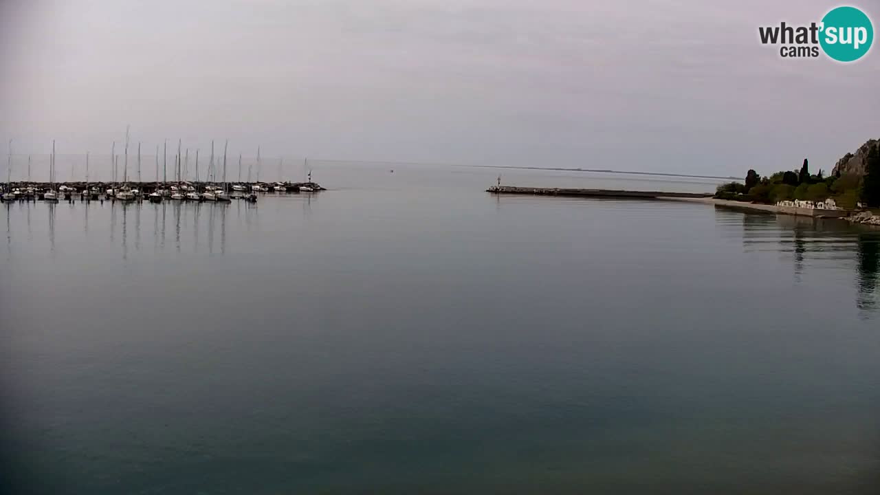 Webcam Sistiana – Vista sulla marina e sulla baia