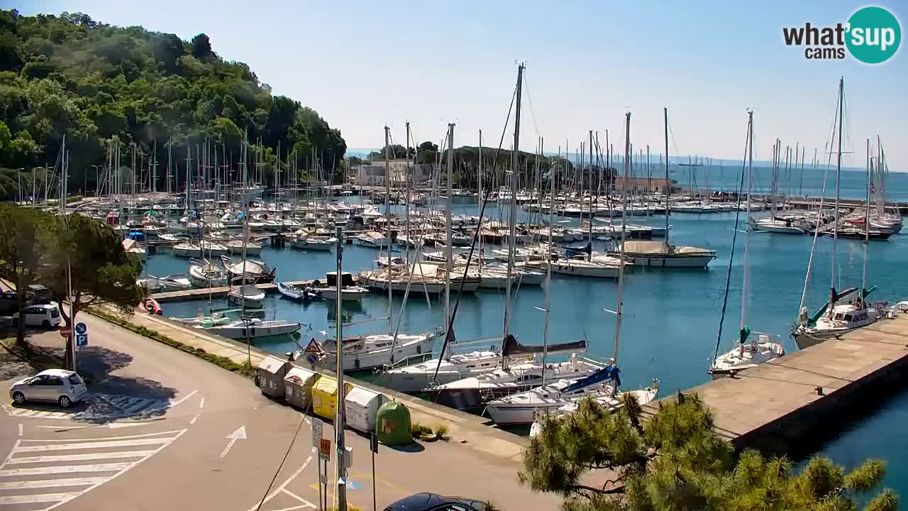 Webcam Sistiana – Blick auf Marina und Bucht