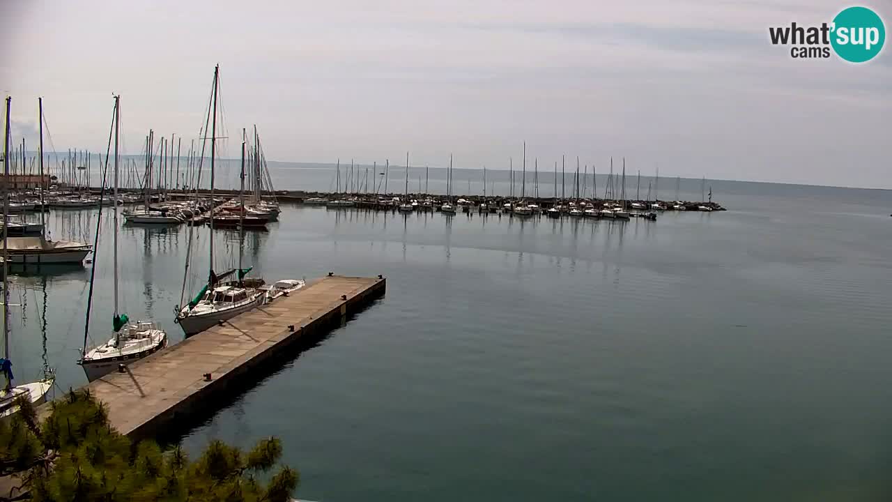 Spletna kamera Sesljan (Sistiana) – Pogled na marino in zaliv