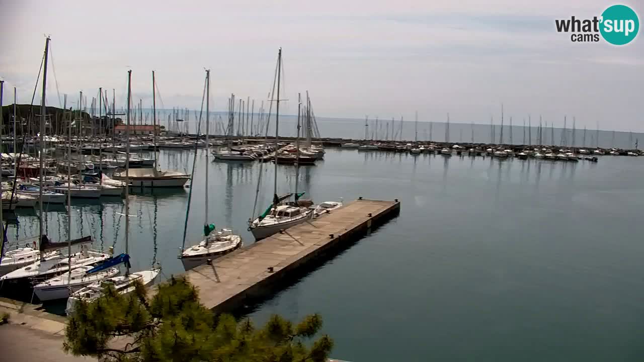 Webcam Sistiana – Vista sulla marina e sulla baia