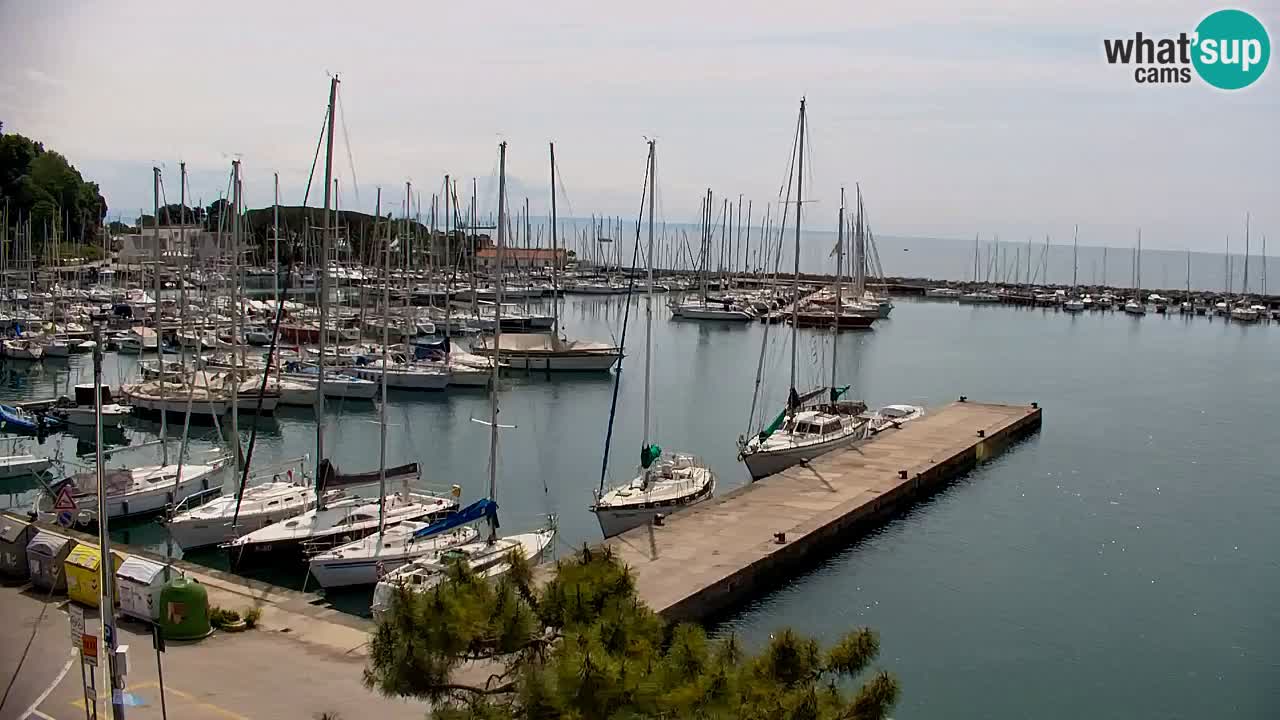 Spletna kamera Sesljan (Sistiana) – Pogled na marino in zaliv