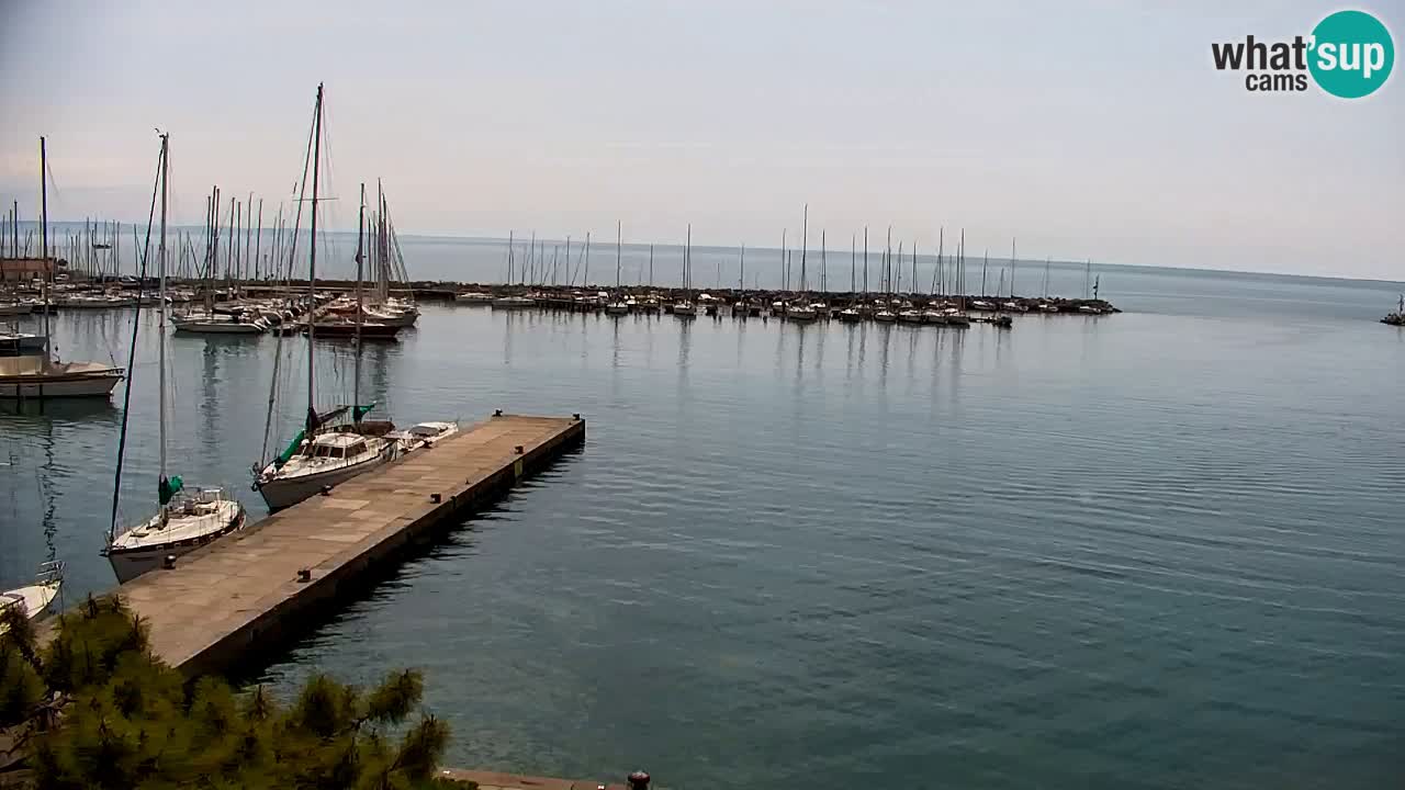 Webcam Sistiana – Marina and Bay Live View