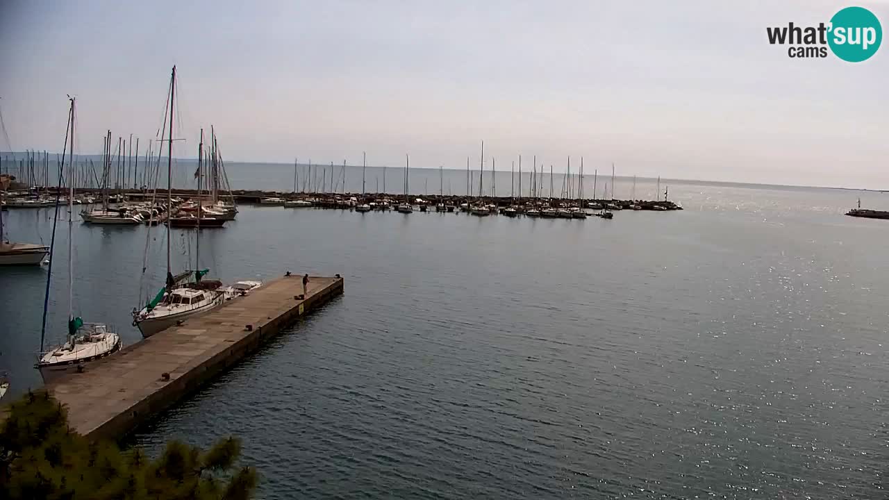 Webcam Sistiana – Pogled na marinu i zaljev