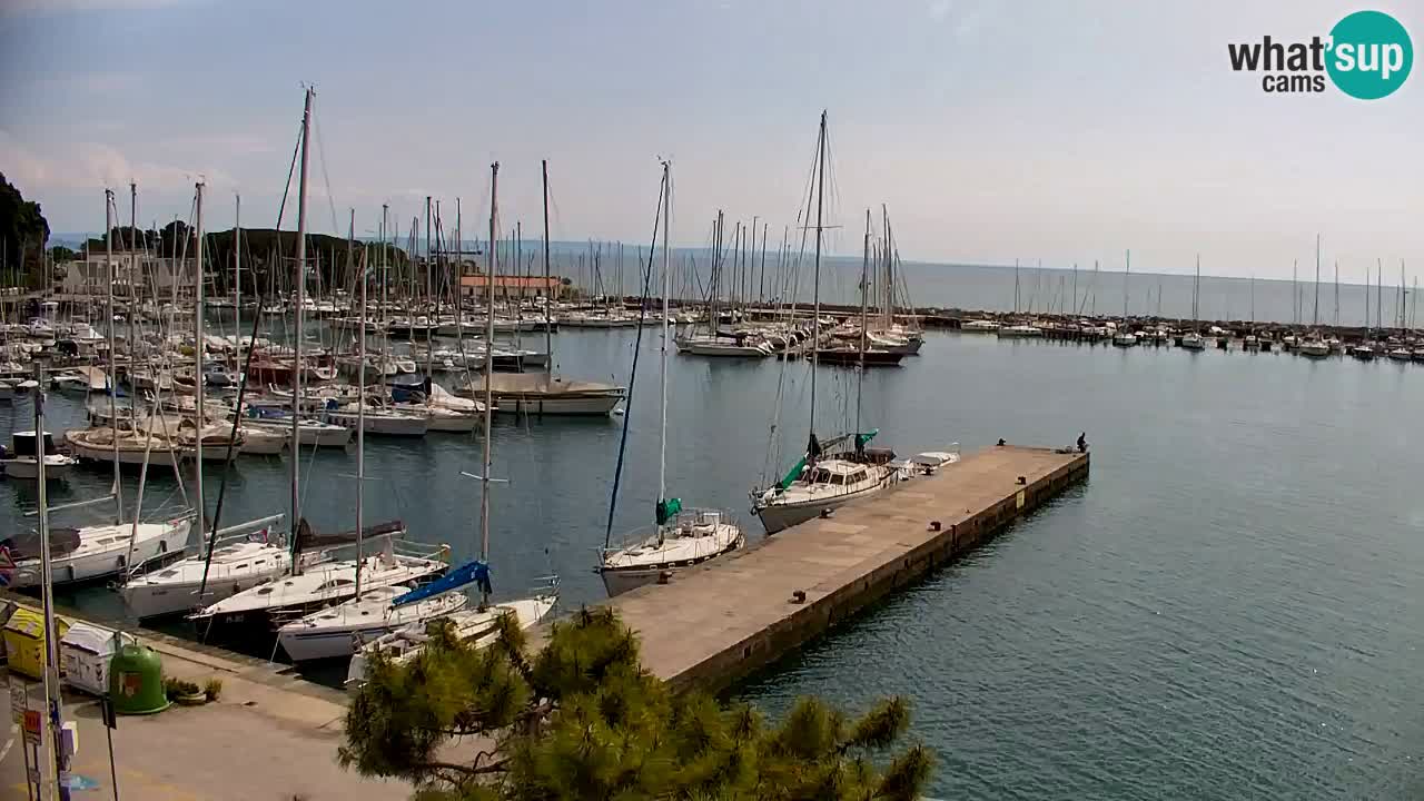 Webcam Sistiana – Vista sobre la marina y la bahía