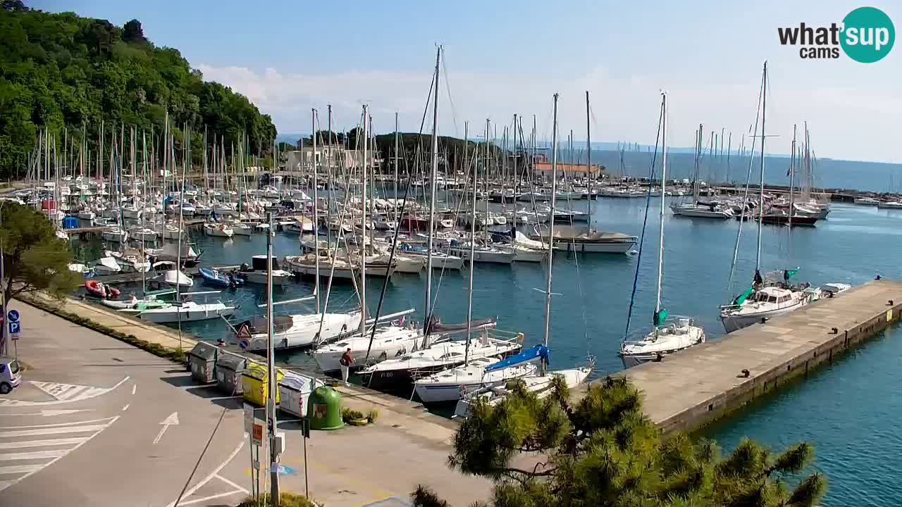 Spletna kamera Sesljan (Sistiana) – Pogled na marino in zaliv