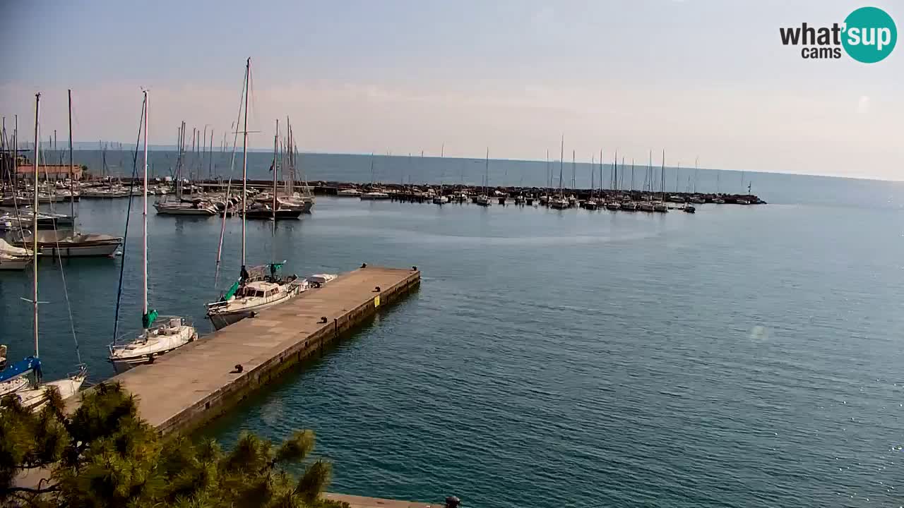 Webcam Sistiana – Marina and Bay Live View