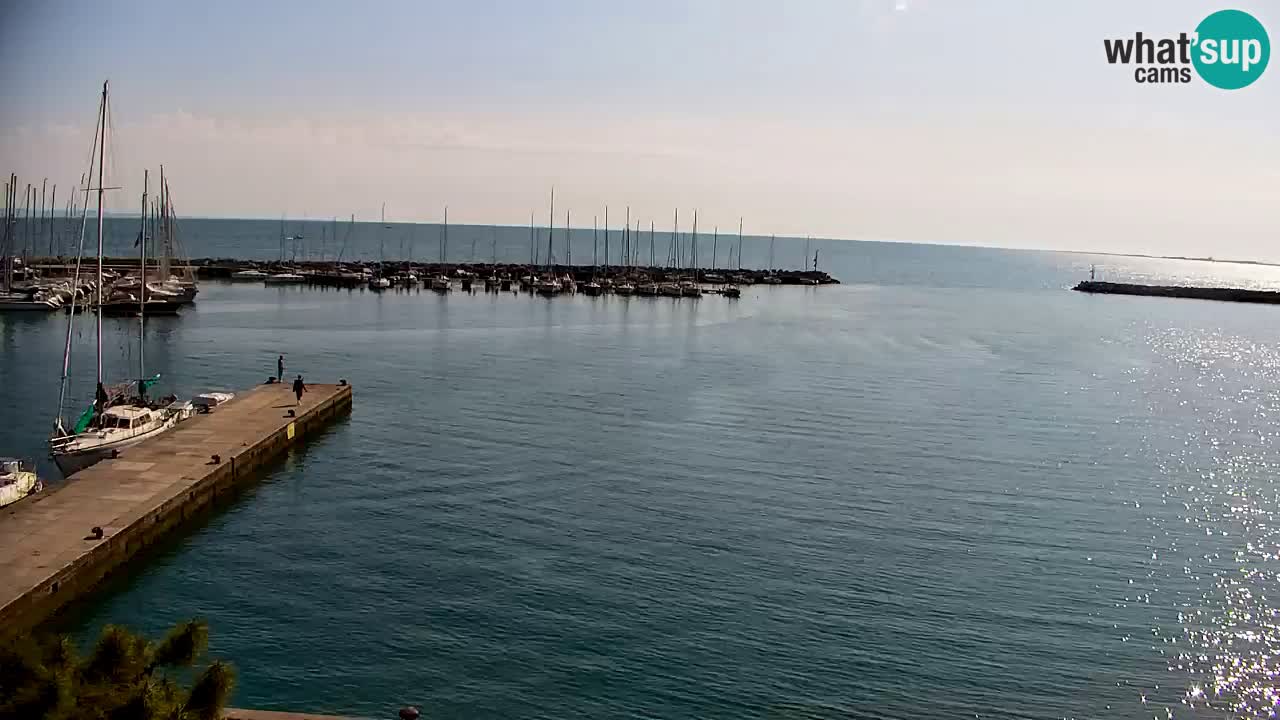 Spletna kamera Sesljan (Sistiana) – Pogled na marino in zaliv
