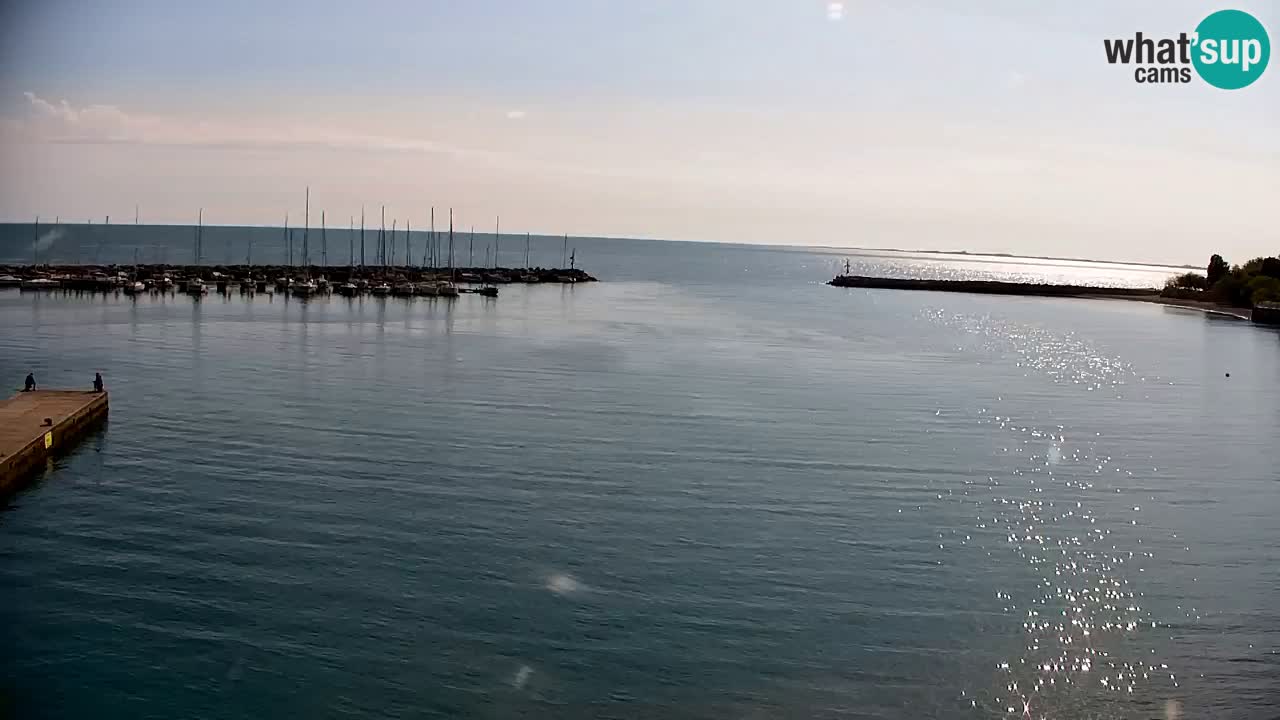 Webcam Sistiana – Pogled na marinu i zaljev