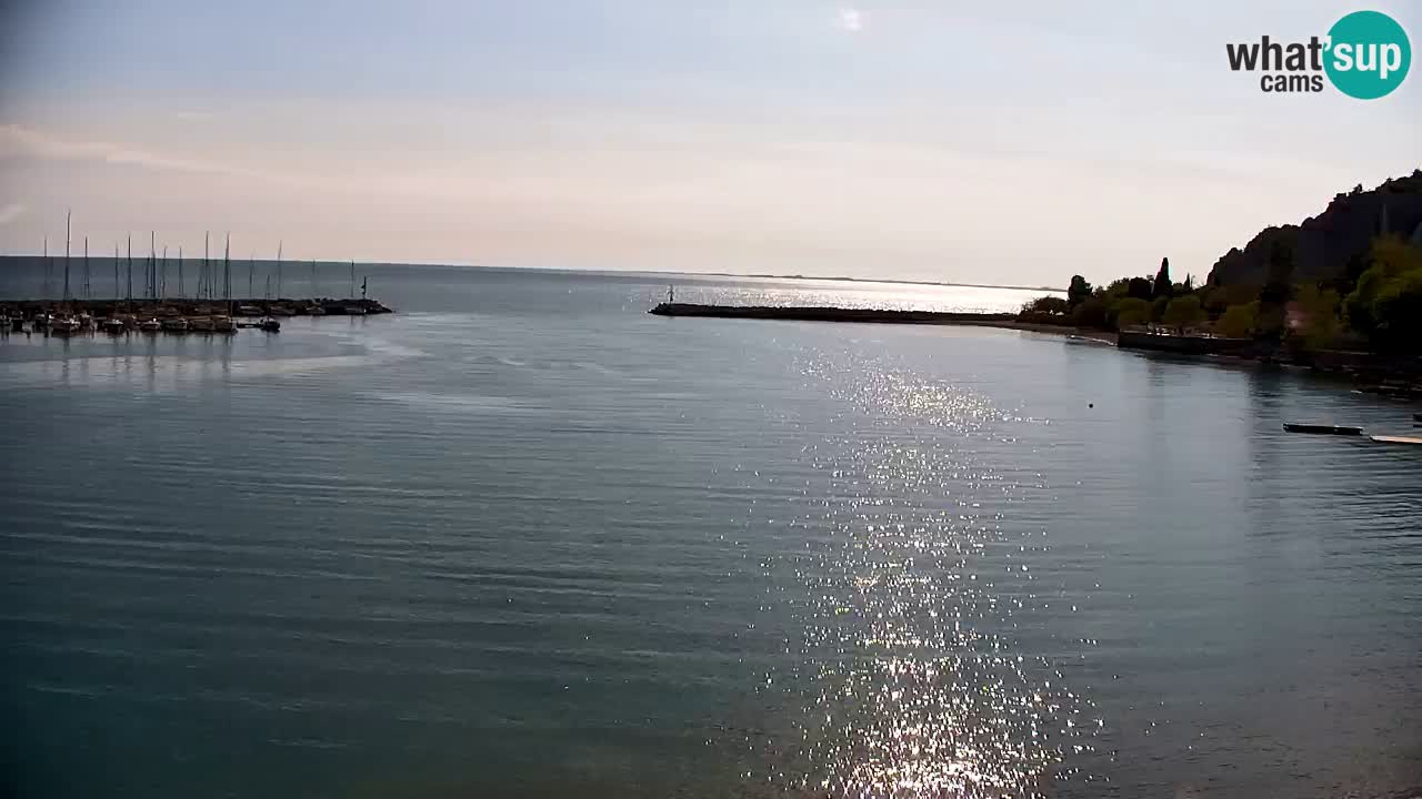 Webcam Sistiana – Pogled na marinu i zaljev