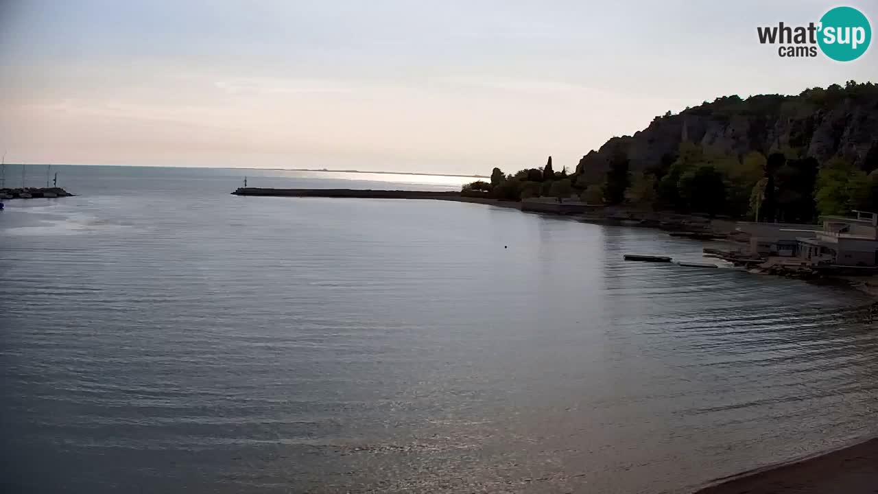 Webcam Sistiana – Marina and Bay Live View