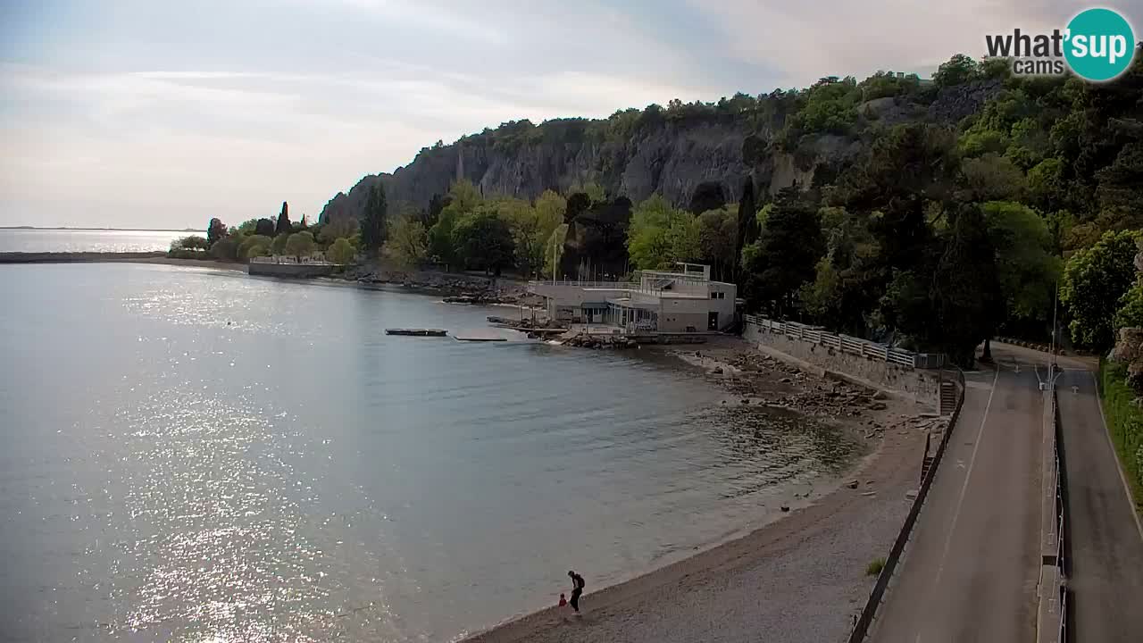 Webcam Sistiana – Pogled na marinu i zaljev