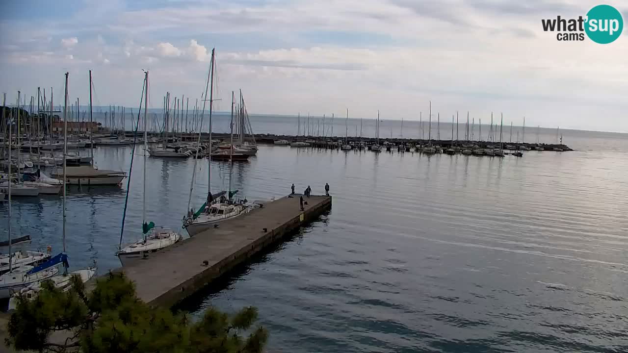 Webcam Sistiana – Marina and Bay Live View