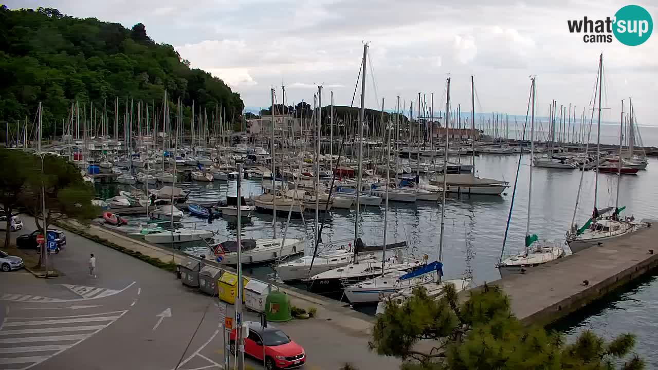 Webcam Sistiana – Marina and Bay Live View
