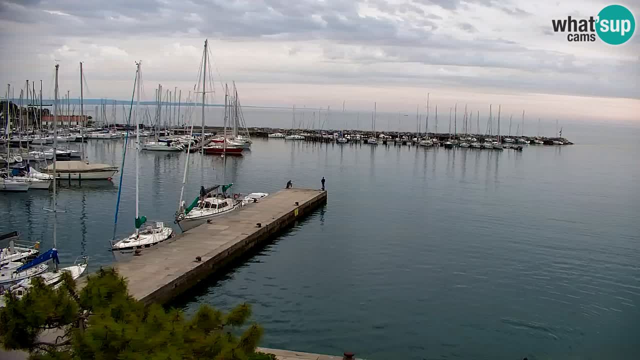 Webcam Sistiana – Marina and Bay Live View