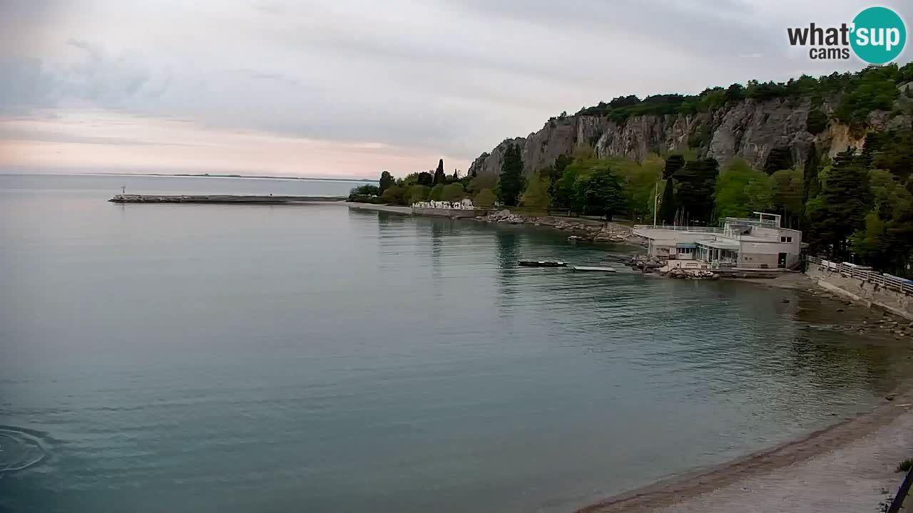 Webcam Sistiana – Marina and Bay Live View