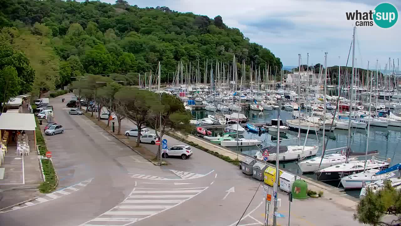 Webcam Sistiana – Marina and Bay Live View