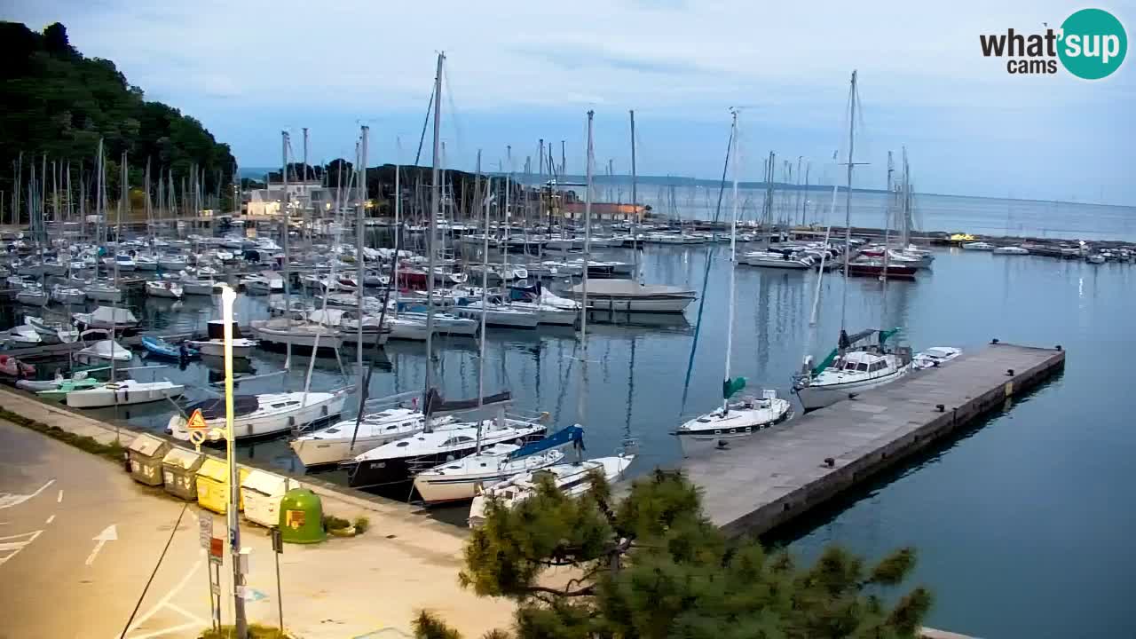 Webcam Sistiana – Vista sobre la marina y la bahía