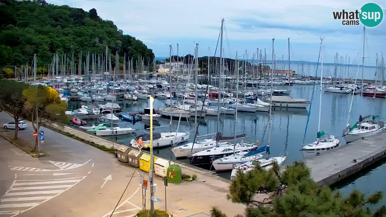 Spletna kamera Sesljan (Sistiana) – Pogled na marino in zaliv