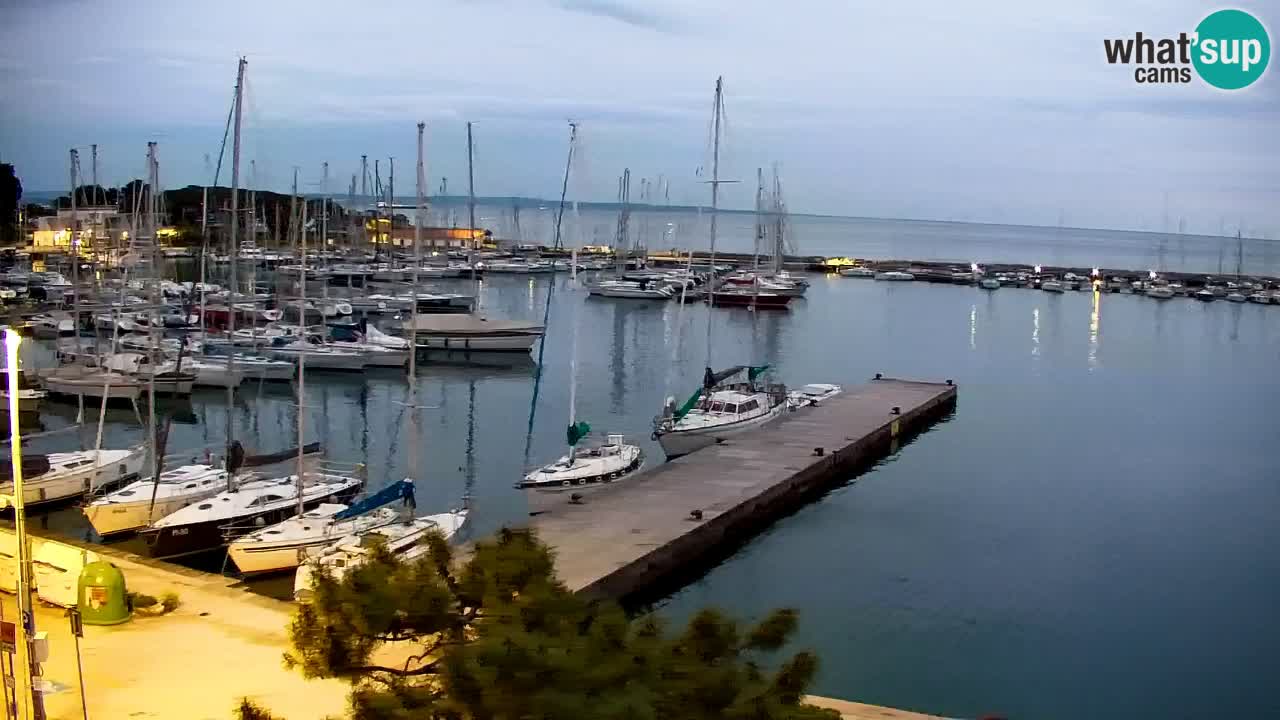 Webcam Sistiana – Blick auf Marina und Bucht