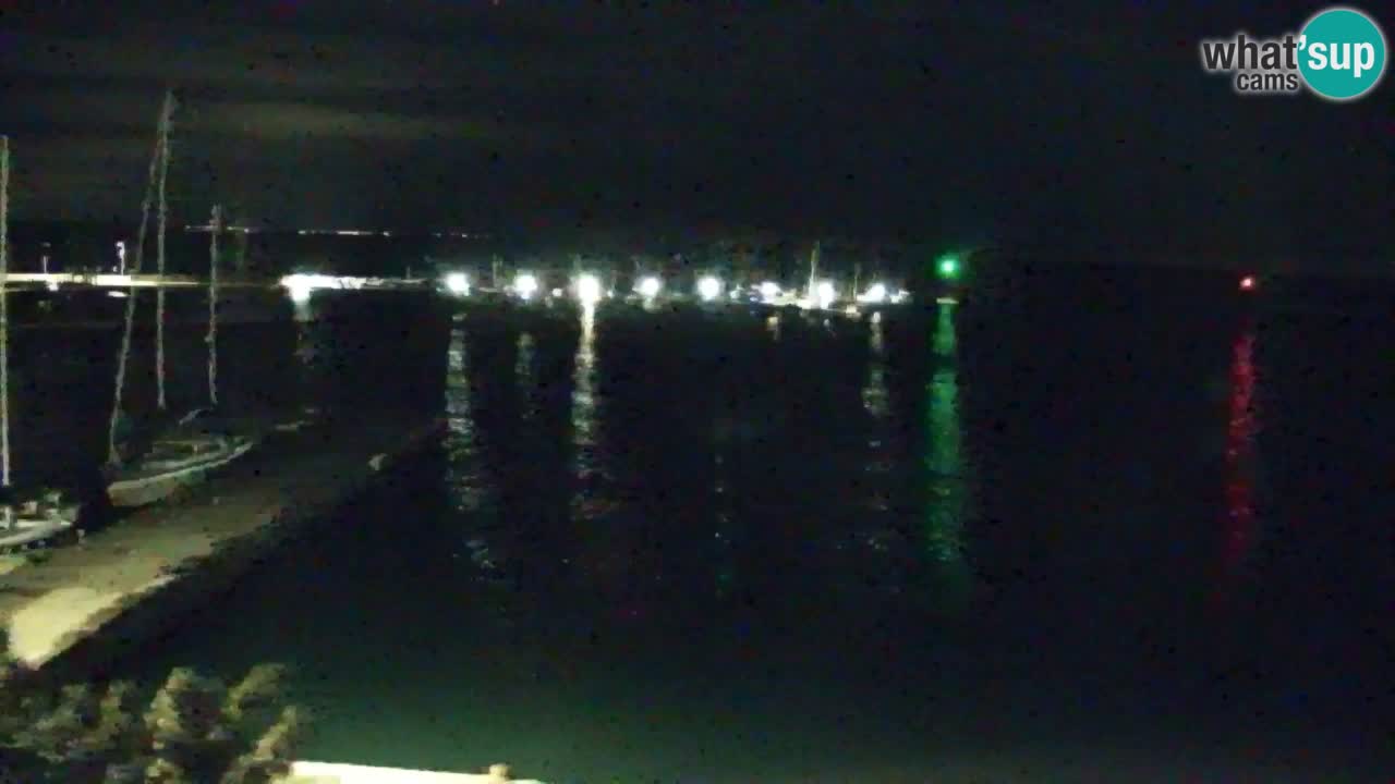 Webcam Sistiana – Pogled na marinu i zaljev