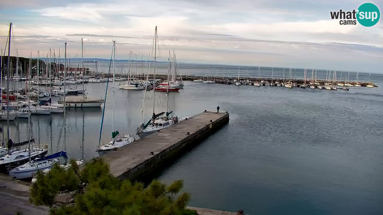 Webcam Sistiana – Marina and Bay Live View