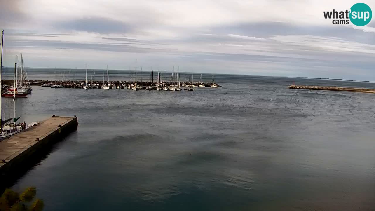 Spletna kamera Sesljan (Sistiana) – Pogled na marino in zaliv