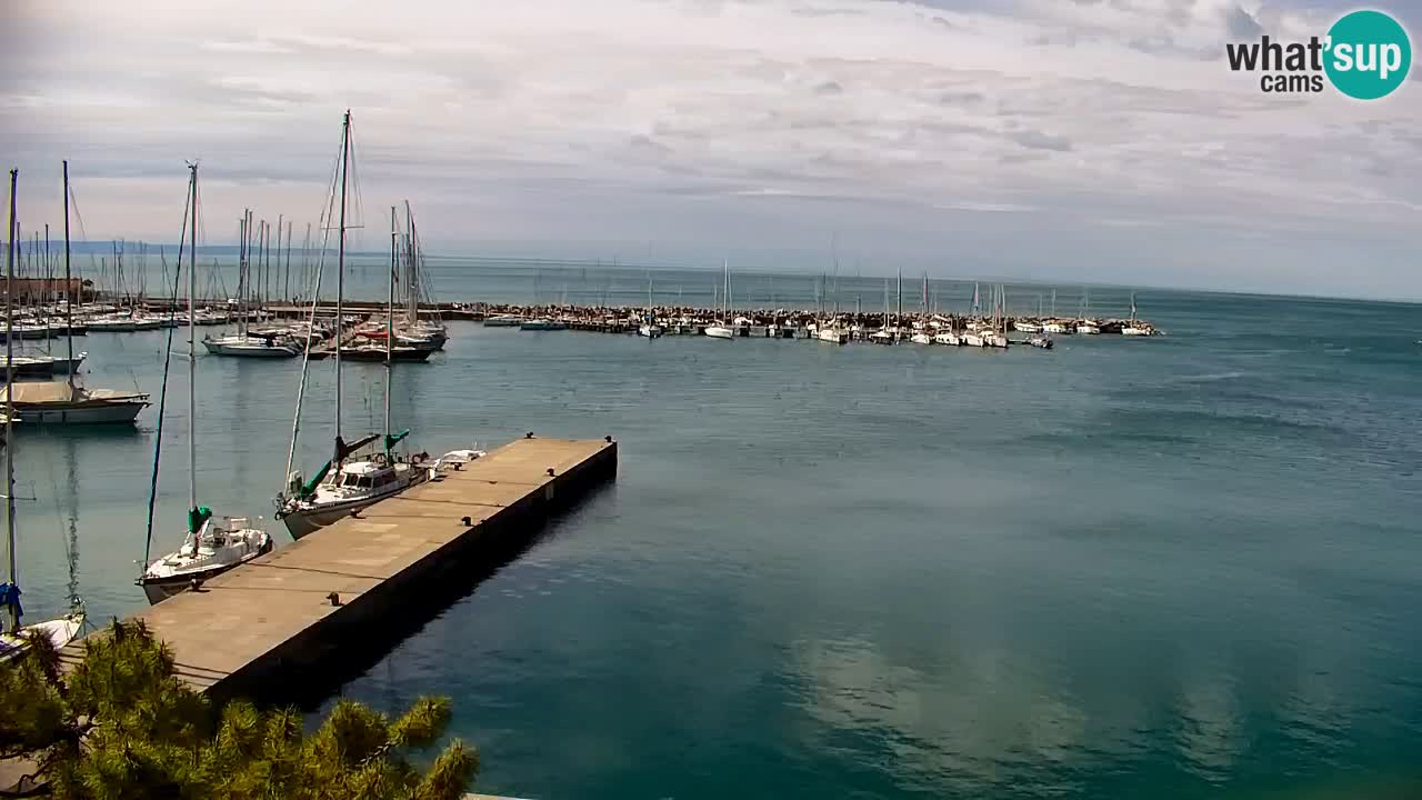 Webcam Sistiana – Vista sobre la marina y la bahía