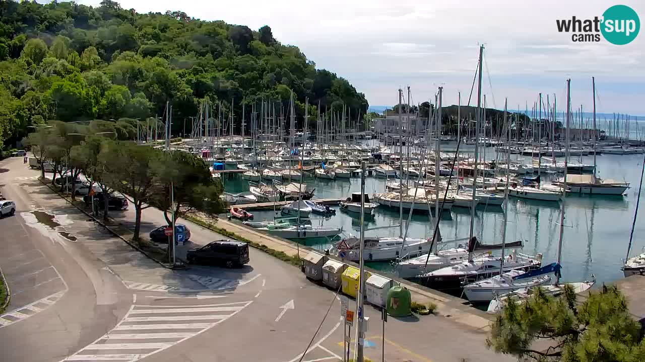 Webcam Sistiana – Marina and Bay Live View
