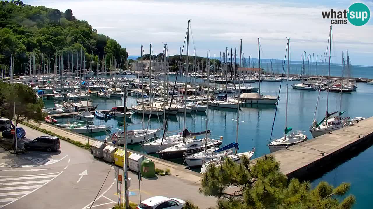 Webcam Sistiana – Marina and Bay Live View