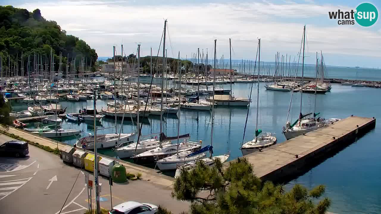 Webcam Sistiana – Pogled na marinu i zaljev
