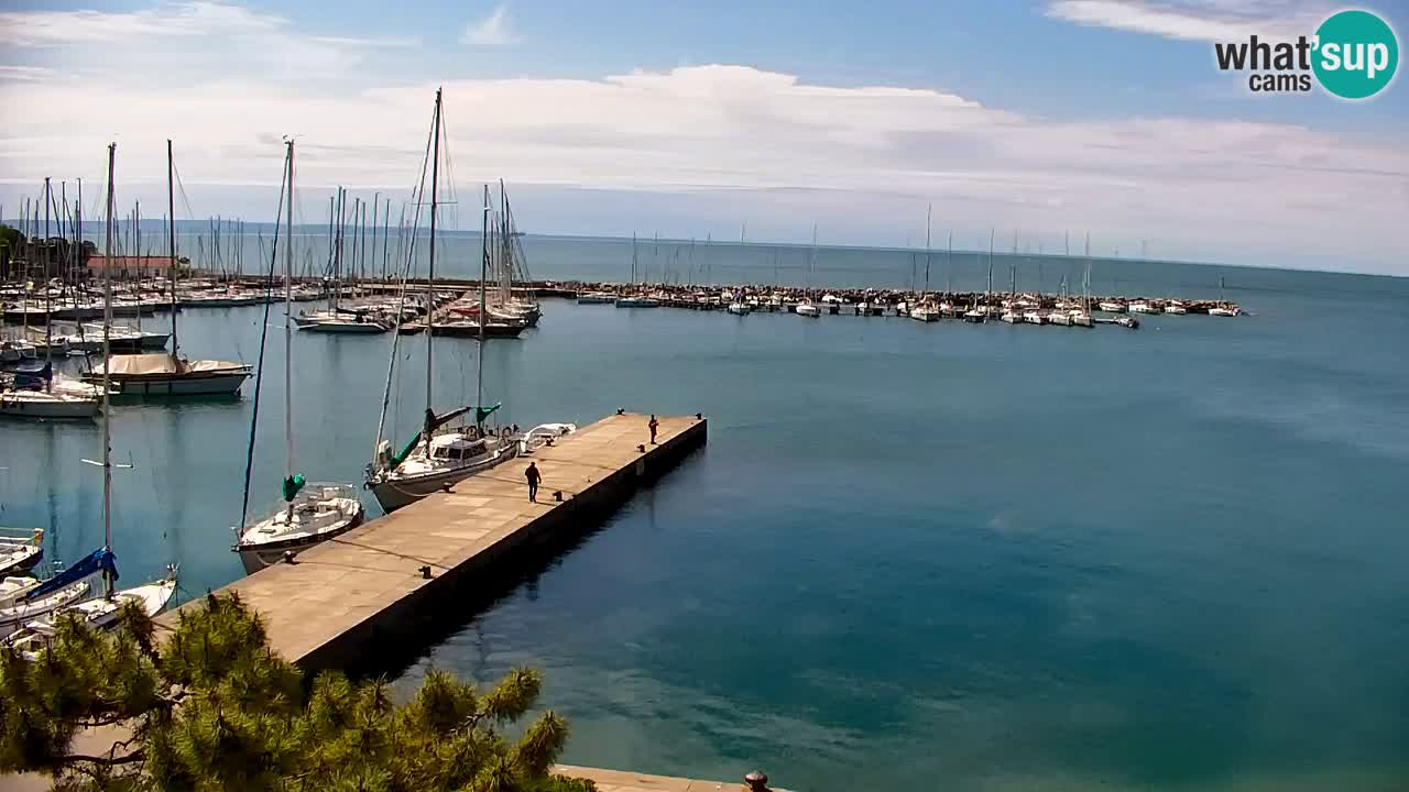 Webcam Sistiana – Marina and Bay Live View