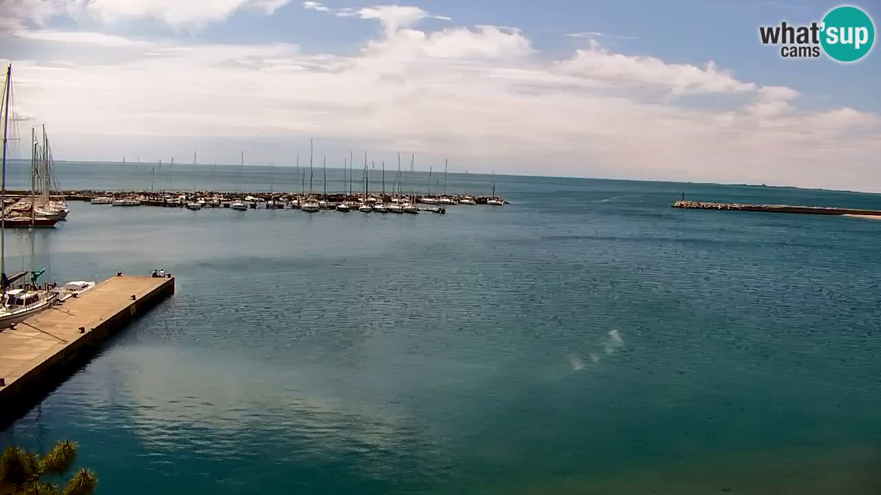 Spletna kamera Sesljan (Sistiana) – Pogled na marino in zaliv