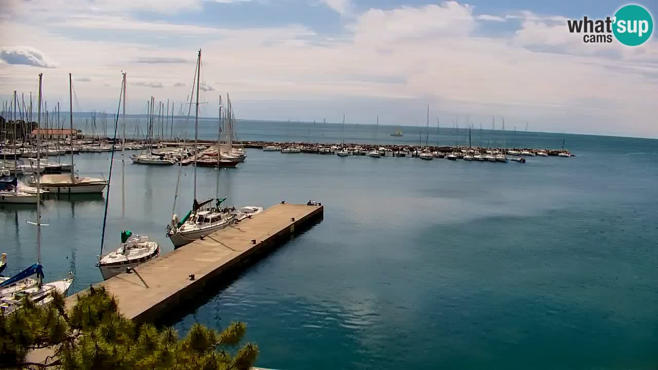 Spletna kamera Sesljan (Sistiana) – Pogled na marino in zaliv